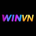 winvnvnco1