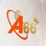 Alibaba66 life