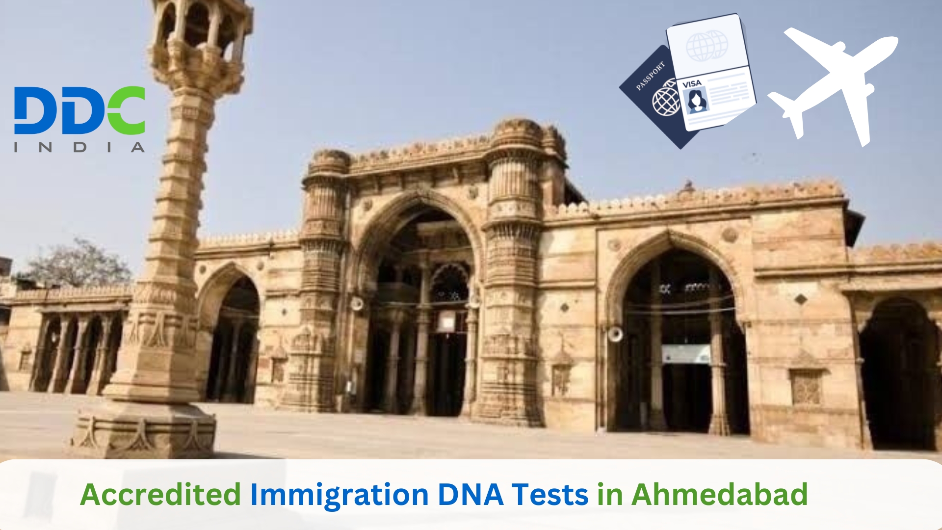 Why Choose Immigration DNA Tests in Ahmedabad for Immigration Application? – DDC Laboratories India