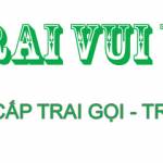 trai vui ve