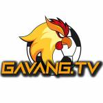 gavangtv info