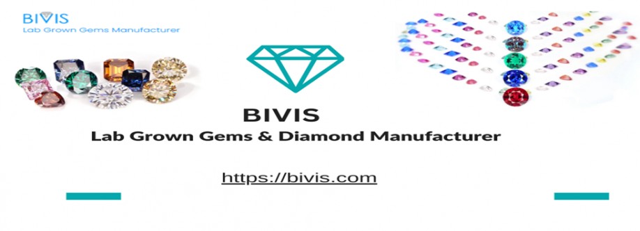 Bivis Cover Image