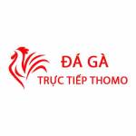 Đá Gà Trực Tiếp Thomo Hôm Nay