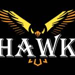 Laser for engraving machine hawk