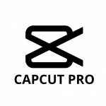 Capcut Pro Apk