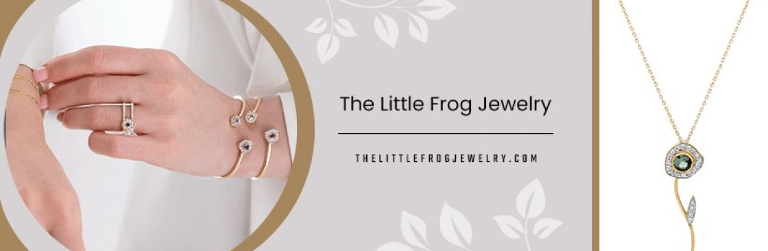 The Little Frog Jewelry Cover Image