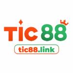 Tic88 link