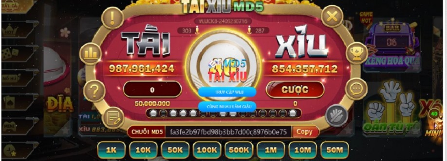 Tài xỉu MD5 Cover Image