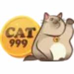 cat999 kim