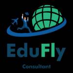 Edufly Consultant