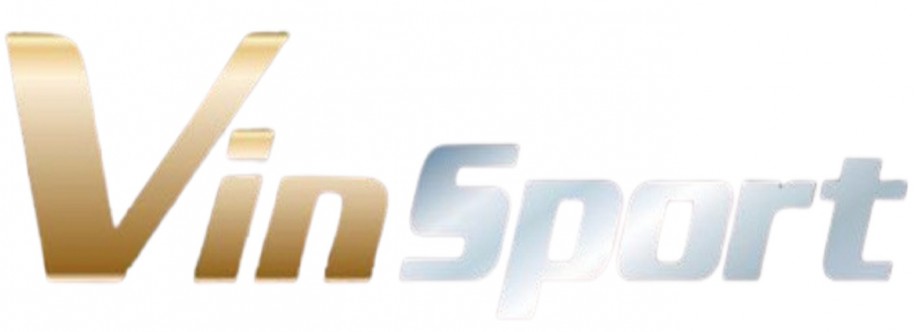 vinsport blog Cover Image