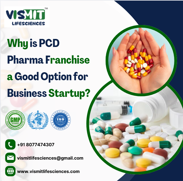 Why is PCD Pharma Franchise a Good Option for Business Startup? | by Vismit Lifesciences | Jan, 2025 | Medium