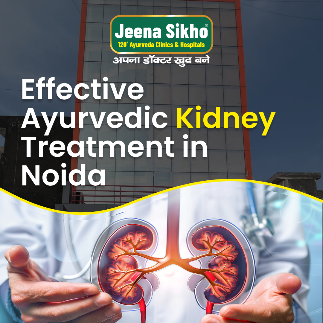 Effective Ayurvedic Kidney Treatment in Noida | by shuddhiayurveda | Jan, 2025 | Medium