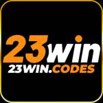 23WIN codes