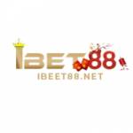 Bhà Cái iBet888