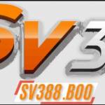 sv388boo