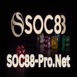 Soc88-pro Net