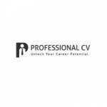 Professional CV Ireland